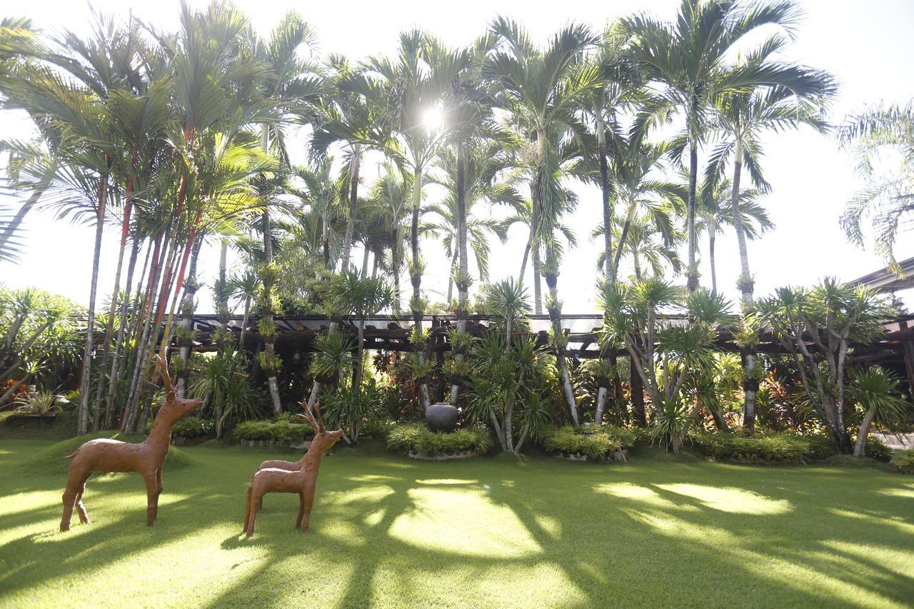 Victoria'S Haven Bed and Breakfast Dumaguete City Exterior foto